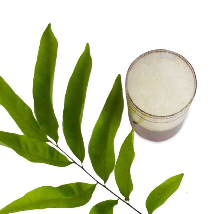 Chunmee Tea suppliers