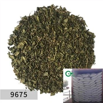 Gunpowder Green Tea 9675