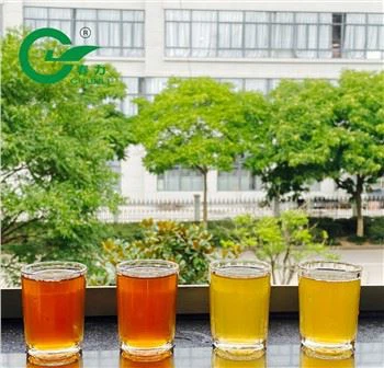 Pearl Tea Gunpowder Green Tea 2019 New Crop